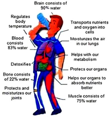 فواید آب غنی شده از اکسیژن روی اکسیژن خون
